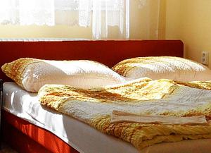 Postel nebo postele na pokoji v ubytování Ubytování ve Vinařství Michna
