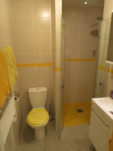 a bathroom with a toilet and a shower at Locatlantique in Aytré