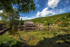 Príroda v okolí apartmánu