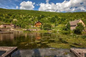Príroda v okolí apartmánu