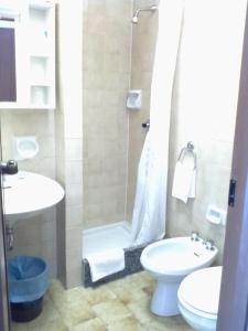 a bathroom with a shower and a toilet and a sink at Hotel Glavjc in Torno