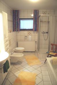 a bathroom with a toilet and a shower and a sink at Ferienwohnung-Geschwind in Schleiden
