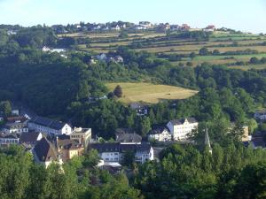 una ciudad en una colina con casas y árboles en Ferienwohnung-Geschwind en Schleiden