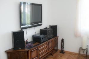 TV/Unterhaltungsangebot in der Unterkunft Apartments Dorcol