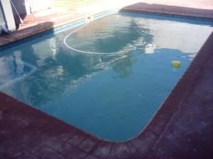a swimming pool with a ball in the water at Sir Pinto Guesthouse in Witbank