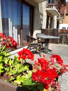 eine Terrasse mit roten Blumen, einem Tisch und einem Stuhl in der Unterkunft Hotel Westendia in Westende