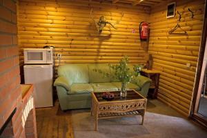 ein Wohnzimmer mit einem grünen Sofa und einem Tisch in der Unterkunft Rehe Holiday Home in Rootsiküla