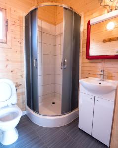a bathroom with a shower and a toilet and a sink at Domki letniskowe Nadia in Grzybowo
