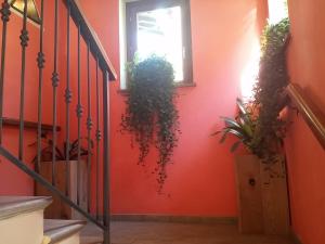 Φωτογραφία από το άλμπουμ του Hotel Piccolo Parco σε Limone Piemonte