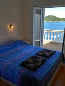 a bedroom with a bed with a view of the ocean at Apartments Šojka in Sobra