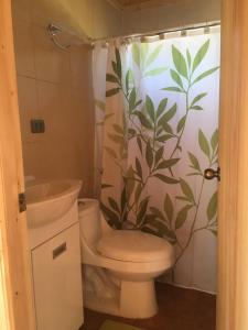 a bathroom with a toilet and a shower curtain at Los Quenes River Lodge in Los Queñes +106 photos