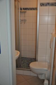 a small bathroom with a toilet and a shower at Haus Waldblick in Hagen