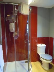 a bathroom with a shower and a toilet at The Smithy House & Cottages in Lochinver