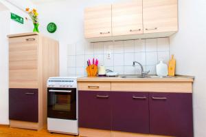 a kitchen with a sink and a stove at Apartment Mandic in Omiš