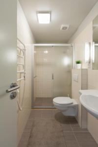 a bathroom with a shower and a toilet and a sink at Preilos vasara in Preila