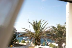 a view of a palm tree from a window at Season4All Apartments in Mali Lošinj