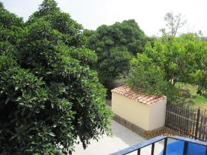 a view from a balcony of a building with trees at Hotel Caballo Negro in Puerto Real