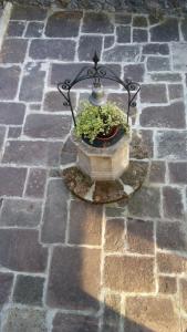 una planta en una olla sentada en una acera de ladrillo en Posada Santa Eulalia en Villanueva de la Peña