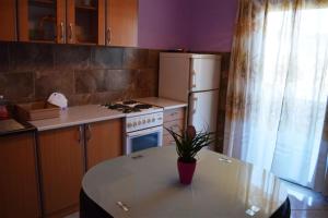 Kuchyň nebo kuchyňský kout v ubytování Apartments Mladen