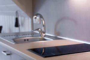 a kitchen counter with a sink and a sink at Preilos vasara in Preila
