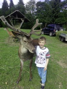 a young boy is standing next to a deer at Guest House Kveder in Škofja Loka