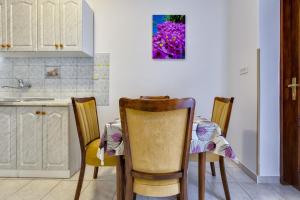 Kuchyňa alebo kuchynka v ubytovaní Apartments Arsen