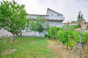 Ein Garten an der Unterkunft Apartment Sanja