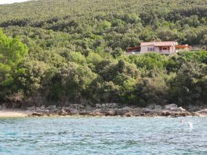 a house on the shore of a body of water at House Nevenka in Štivan