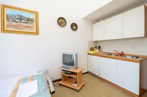 TV a/nebo společenská místnost v ubytování Apartments Dragica