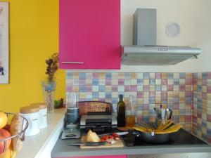 Kuchyň nebo kuchyňský kout v ubytování Apartment Rajka