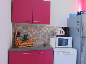 Kuchyň nebo kuchyňský kout v ubytování Apartment Rajka