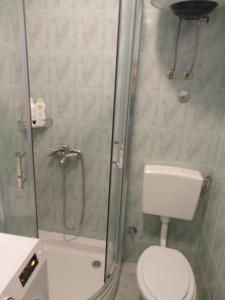 a bathroom with a shower with a toilet and a sink at Apartment Ivana in Biograd na Moru +24 photos