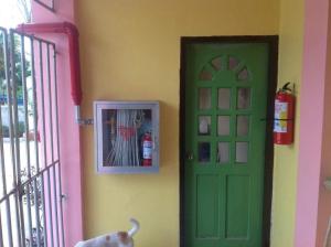 un cane seduto davanti a una porta verde di A's Azotea de Bohol a Città di Tagbilaran