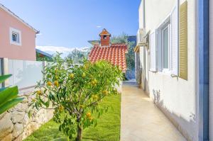 Vonkajšia záhrada v ubytovaní Villa Vesa