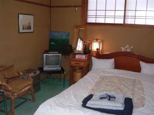 TV a/nebo společenská místnost v ubytování Onsen Inn 36So + 26 fotografií