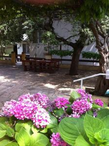 Zahrada ubytování Guesthouse Mimas