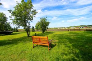 ティースゾーにあるFerienanlage Seehundの芝生の畑に腰掛けた公園のベンチ