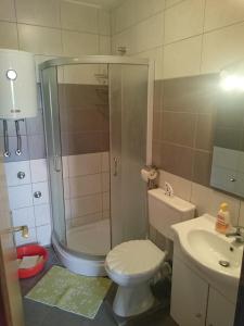 ein Bad mit einer Dusche, einem WC und einem Waschbecken in der Unterkunft Apartmani Bartolić in Biograd na Moru