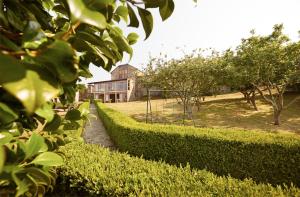 A garden outside Casa Lamelas