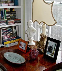 Knihovna v bed and breakfast