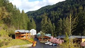 a resort with cars parked in a parking lot at Carson Hot Springs Resort & Spa in Carson