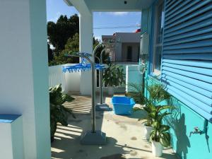 a porch with plants and a blue house at Dolphins and Whales in Ishigaki Island