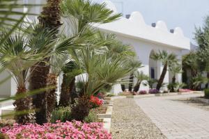 a garden with palm trees and pink flowers in front of a building at Garden Hotel Ripa in Vieste