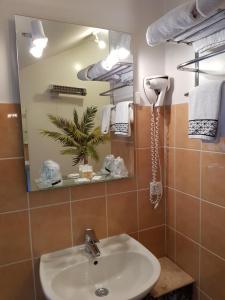 a bathroom with a sink and a mirror at Hôtel restaurant de l'Île in Jumeaux