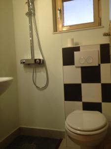 a bathroom with a toilet and a shower at Country House Speedy in Komiža +33 photos