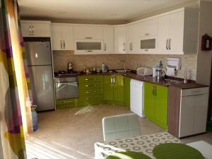 マフムトラールにあるAtmaca Villaのキッチン(緑と白のキャビネット、電化製品付)
