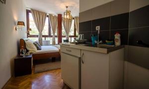 Kuchyň nebo kuchyňský kout v ubytování Visoki Stevan Apartments