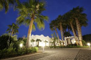 a white building with palm trees at night at Garden Hotel Ripa in Vieste