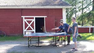 Pöytätennistä majoituspaikassa Koljonvirran Kartano tai lähistöllä