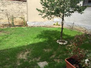 A garden outside Appartamenti Emilio